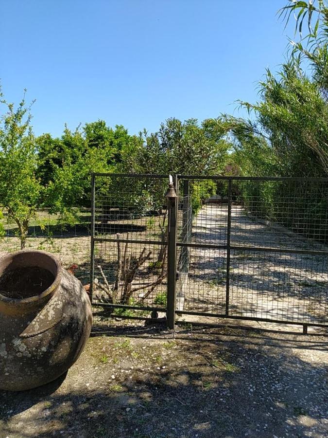 Quinta Da Ponte Das Hortas 3 埃尔瓦斯 外观 照片